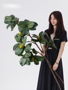 ֦�����뻨���m�~��֦�͏d����bٻ�����廨�Gֲ