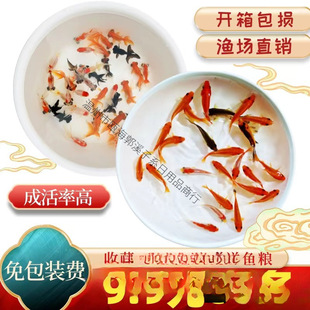 ��ˮС���~�^�p�~���N�\���~С�^�p�~�ͻ���ˮ�~��t���~