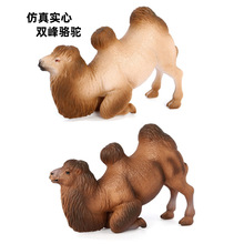 �羳��ͯ��߾�̬ʵ�ķ������� �������� ����˫������ģ�Ͱڼ�