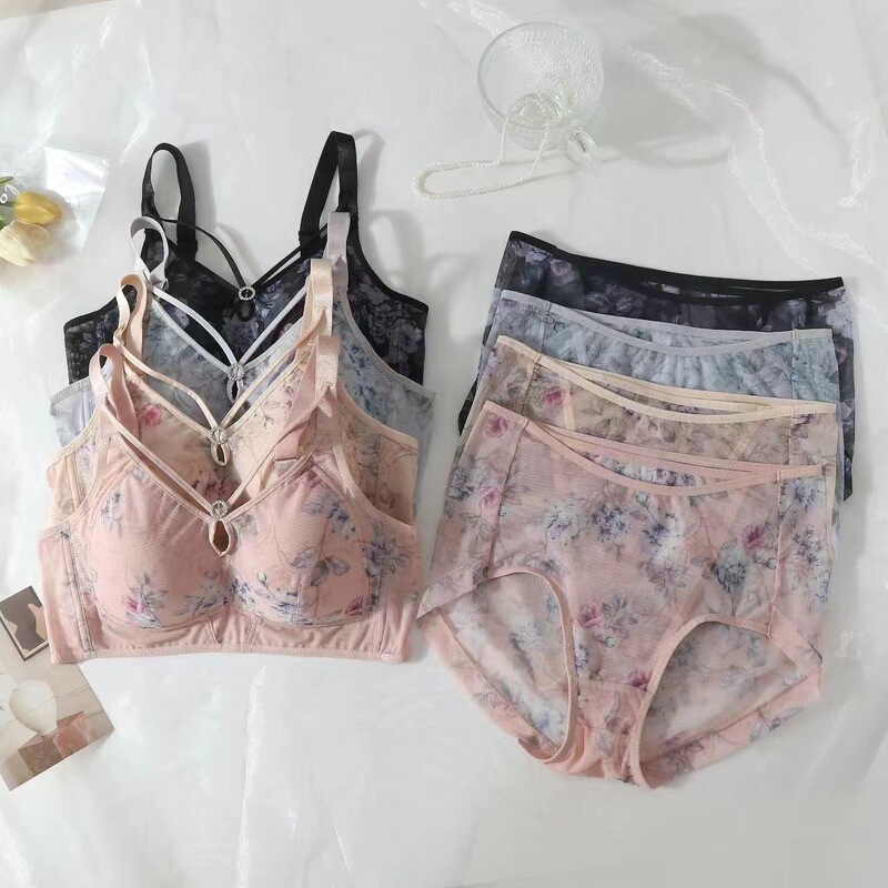 Factory In-Stock French-Style Lightweight Breathable Sexy Lace Romantic Bra Vest Mesh Bra and Panty Set 0715