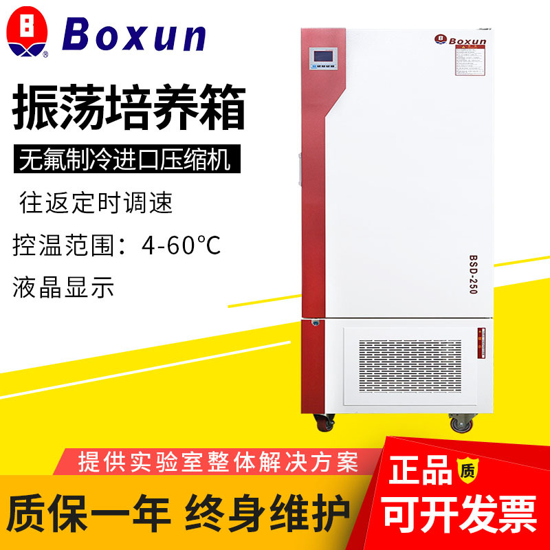 上海博迅 BSD-100振荡培养箱定时调速无氟制冷智能恒温控温