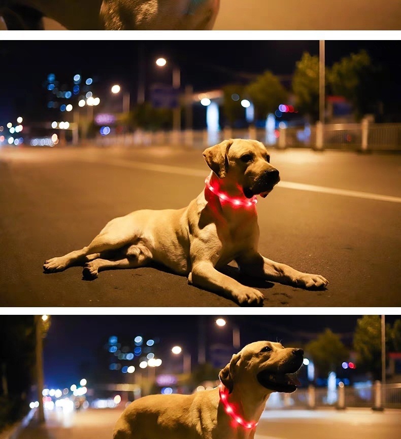 465d6720-4aa7-4840-aa7c-660845fb5368.jpe