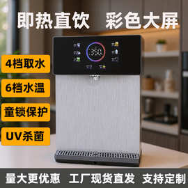 彩色大屏即热式管线机家用壁挂管线机净水器直饮机厨房热水饮水机