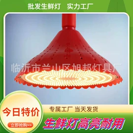 排气、换气扇;红外线灯泡;商用吊线灯