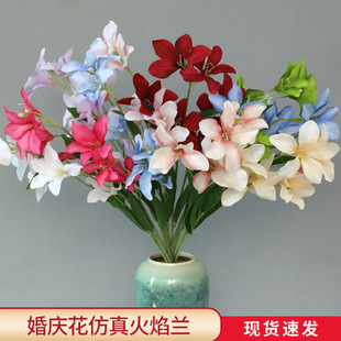 ���Q�¿���滨�����m ��c�������G�� ӭ�e��c�Ƶ겼���b���