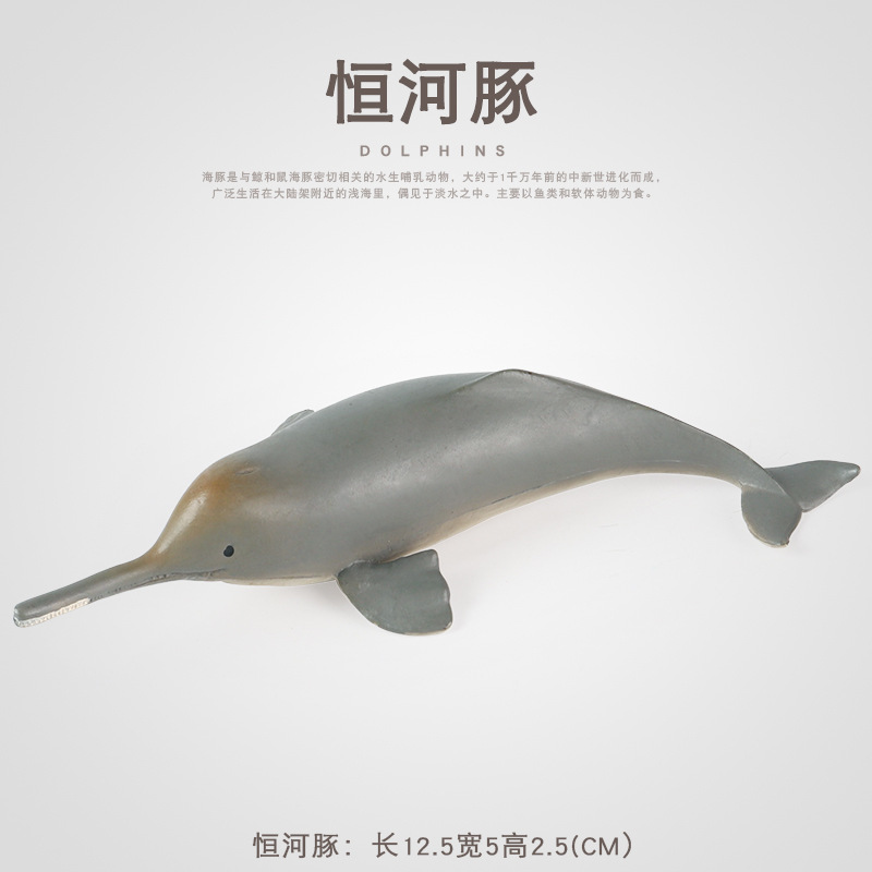 River dolphin cognitive toy simulated marine animal model, white river dolphin mammal plastic children's early education decoration