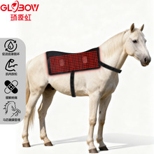 �t��660�R���t��850�����R�����R�Ǽ�����������ѭ�h�t�⾀