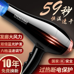 ヘアサロンハイパワーヘアドライヤー家庭用無害ブルーライト保護ヘアドライヤー温冷風ヘアドライヤー卸売