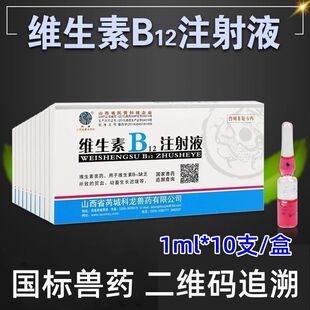 �Fș�F�þS����B12ע��Һ