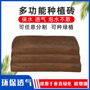 ��ֱ�G��ֲ�������|�����ھd��̿�d���������d�๦�ܷNֲ�u