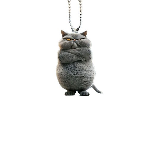 Acrylic Flat Angry Cat Car Mirror Ornament Decorative Hanging Accessory