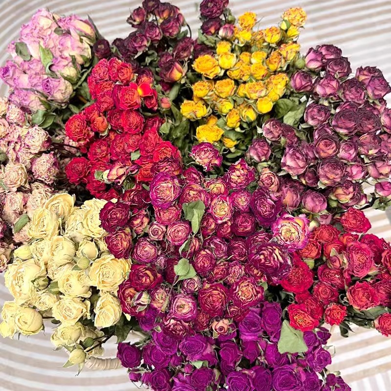 4e2d5923-0ae7-4633-a345-61630d9a93d4.jpe