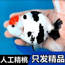 �����m�۽��~�^�p�~���ͻ���ˮ�Ꭷ���w����С�͵�ˮ���B�\���ݽ�