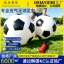 趣味充气互动沙滩玩具