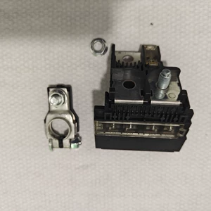 24380-79919 is suitable for Nissan series models, battery positive fuse and fuse accessories