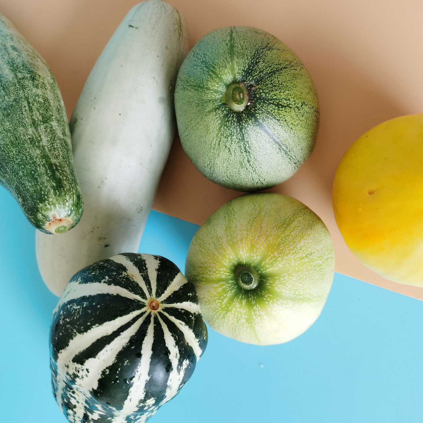 Creative Six Pins[Boyang 9+Bo Yang 61 +Old Sheep Horn Honey+Ma Lian Zhuang+Star Sweet Bee+Green Muskmelon]