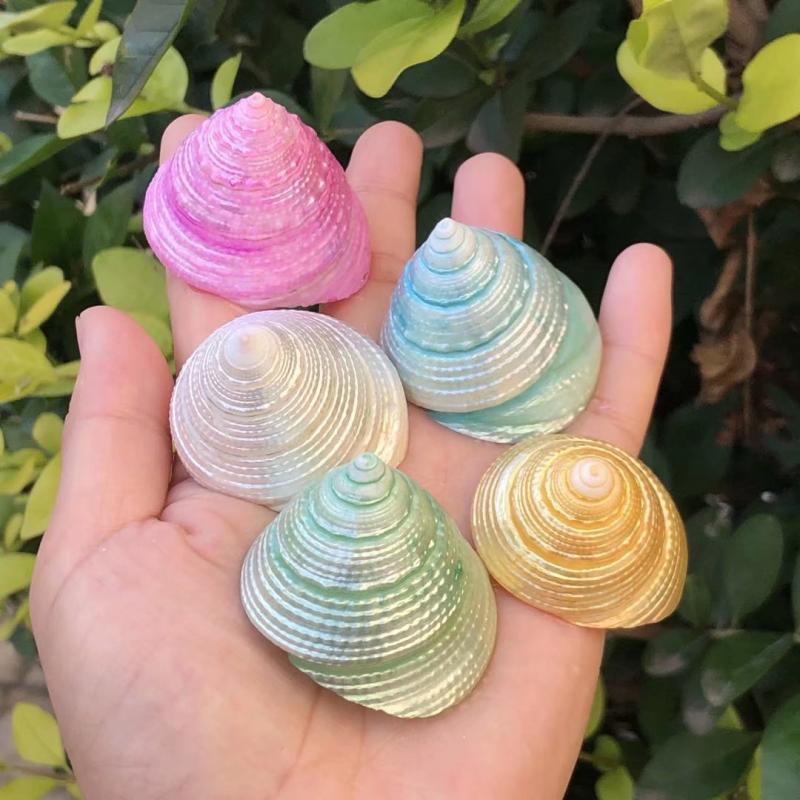 ��Ȼؐ���������ݲ�ɫ�Ųʟɹ�˱��ݼľ�з��Q���~��ˮ���b�