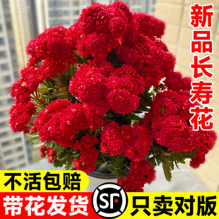 ��Ʒ�L�ۻ����Ԏ��������B�ļ��_���ذ�����̨���ܾGֲ���҃�