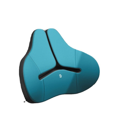 Back Cushion Pillow Spine Protection — Waist support