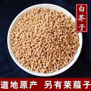 ���] �׽��� �׽��� ���׽��� ������ ����� 500����؛��؛