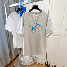 aŮb300rзbŮmmeӡT¿ĸ