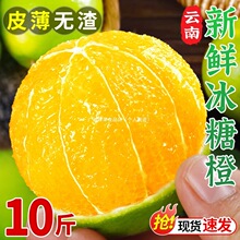 ��ϱ��ǳ���Ϫ����ɽ���ǳȹ����Ȯ����r���ք�����ĳ�ե֭ˮ��