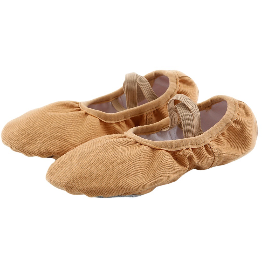 Camel Dance Shoes Lace-free Elastic Mouth Women's Soft Sole Practice Shoes Body Yoga Cat Claw Shoes Dance Shoes Wholesale