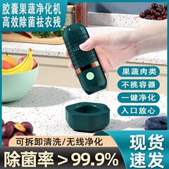 胶囊果蔬净化器食材清洗机除农残超声波洗菜机洗水果直销直发跨境