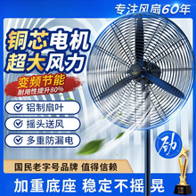 �ʯ�ƹ��I��L�ȴ��ʹ��S�����L������ȓu�^�ڒ�ʽ��ţ����