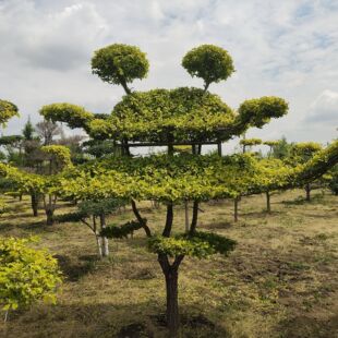 ���͘� ���ͽ��~�� ���ͼt�~��  �@�־��^�G�����͘� ��������