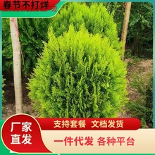 һlؘ 辰ز  ɰľ ԻͥԺG