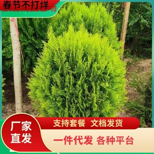 һ�����l����ؘ��� �辰�ز� ������� �ɰ���ľ ���Ի���ͥԺ�G