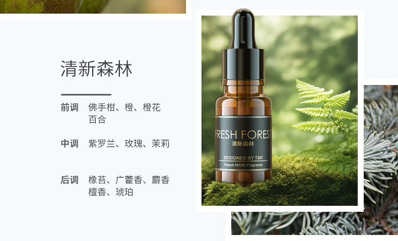 Car Perfume Indoor Car Aromatherapy Refill Liquid Household Essential Oil Cologne Ocean Flower Removal Odor Long-Lasting Light Fragrance