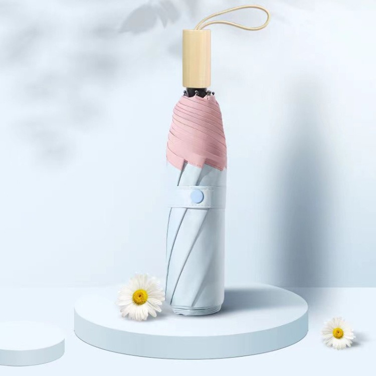 5 배 컬러 접착제-블루 파우더