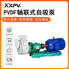 PkxpvSҬF؛ֱNPVDFSʽ Iϻ ͸g