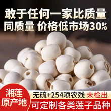 湘潭白莲子干货去芯无硫新货湖南湘莲莲子批发去心连子500克通芯