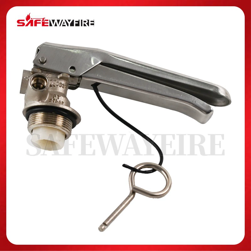 CE сертифицированный огнетушитель головка 1-3 кг огнетушитель из нержавеющей стали клапан давления