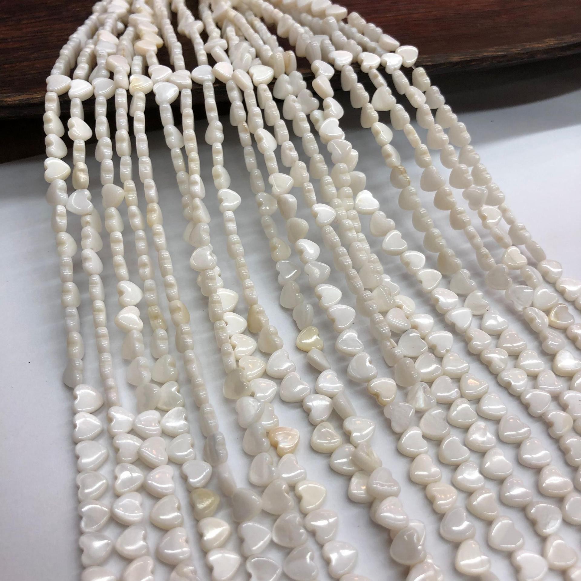 【马蹄螺】爱心