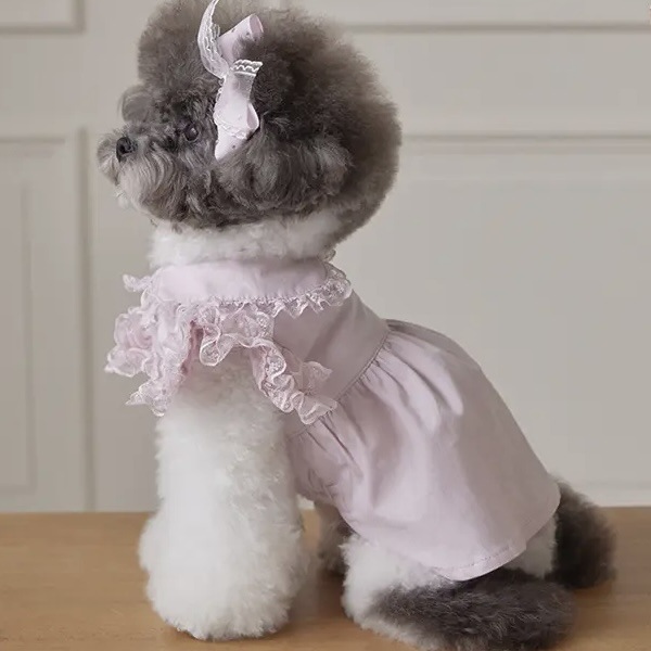 Robe d'été mignonne pour chat et chienne, robe débardeur pour Ragdoll, Teddy, chatons et petits chiens_voghion.com