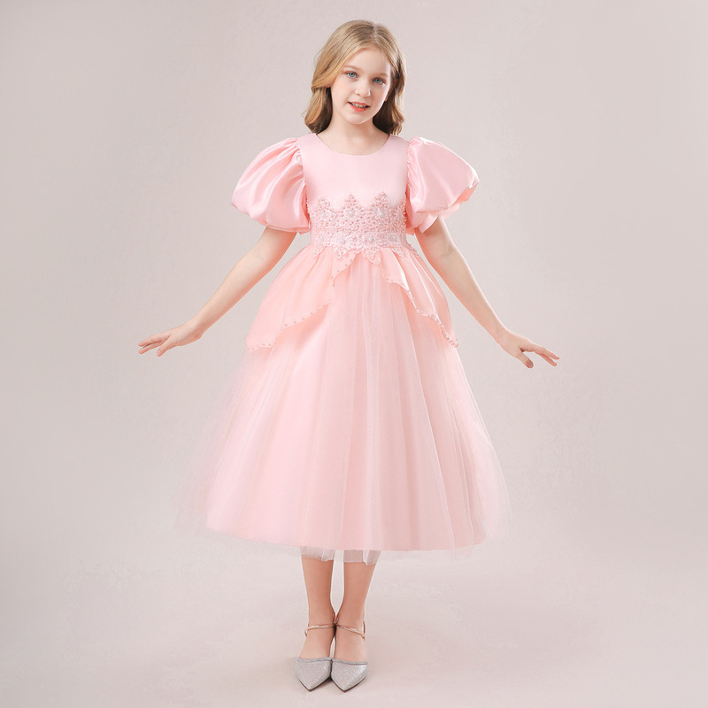 Cinderella Dress Puff Sleeve Kidsren's Puffy Dress Performance Dress Flower Girl Princess Dress Girl Christmas Dress Dress Cinderella Dress Puff Sleeve Kidsren's Puffy Dress Performance Dress Flower Girl Princess Dress Girl Christmas Dress Dress