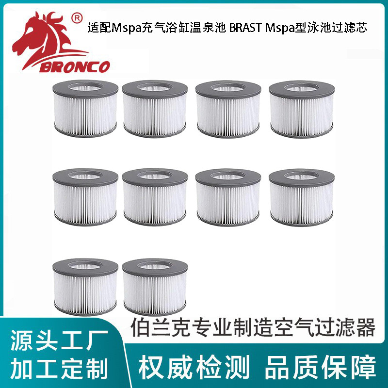 Amazon compatible Mspa inflatable bathtub hot spring pool water filter cartridge BRAST Mspa type pool filter cartridge