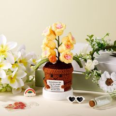 クロスボーダー新品ポジティブフラワークロシェ永生花盆栽置物诞生日プレゼント