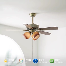 吸顶灯;吊灯;风扇灯