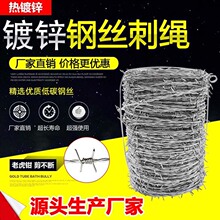 钢丝刺绳铁丝网围栏刺铁丝铁蒺藜隔离护栏网围墙防爬刺防盗刺