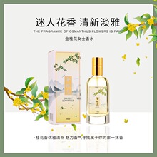 �n��Ůʿ�|������ˮ50ml������õ��ζ���µ�������W���w���؛