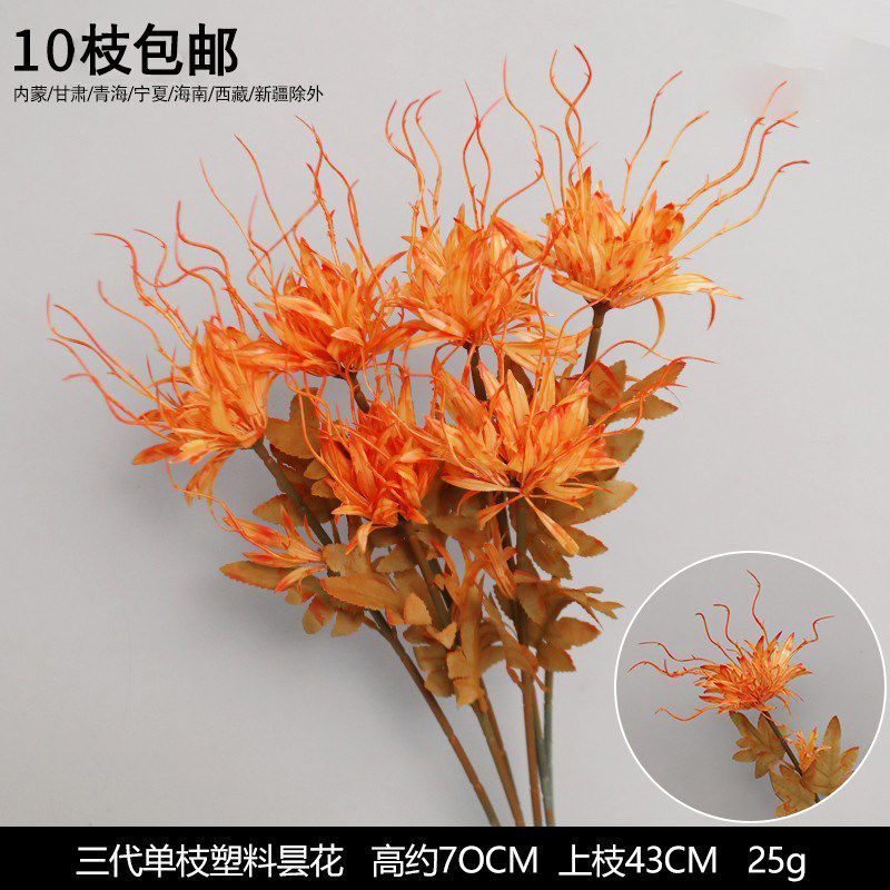 单头昙花