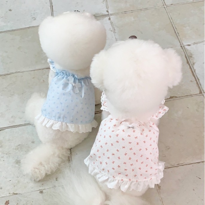 Primavera y verano perros frescos arco princesa falda de viento gato vestido delgado ropa de mascotas de verano transpirable