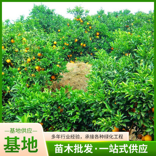 ����ľ�a�ػ��ع����޽����l���Ә� �L�tĚ�Ș� �L���μ~�ɠ�Ě��
