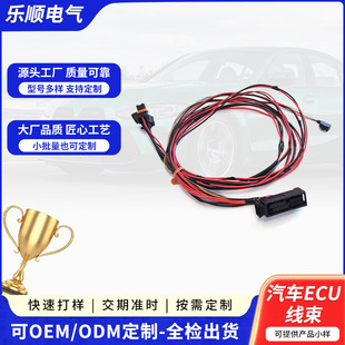 ����Դ��܇ ECU ���� TS16949��܇���̙Cе�B�ӷ�ˮ���� ��Ӽ�