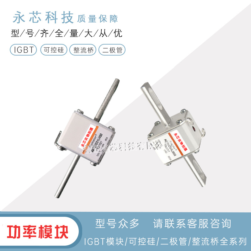 全新快速方形熔断器/保险丝A070UD33LI1100 	S300235 原装现货